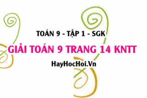 Giải Toán 9 trang 14 tập 1 Kết nối tri thức SGK